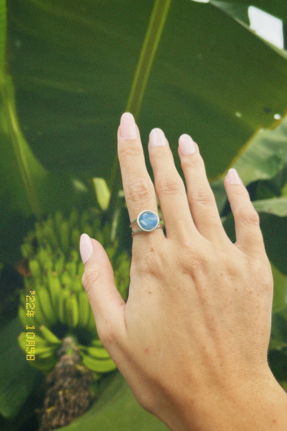 Microplastic Round Ring